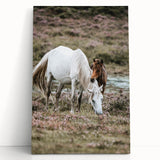 Rustic Country Horses - Farmhouse Style Wall Art for Country Living Decor