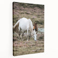 Rustic Country Horses - Farmhouse Style Wall Art for Country Living Decor