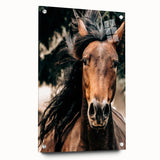 Dynamic Horse Portrait - Rustic Farmhouse Wall Art for Country Living