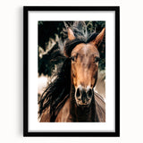 Dynamic Horse Portrait - Rustic Farmhouse Wall Art for Country Living