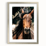 Dynamic Horse Portrait - Rustic Farmhouse Wall Art for Country Living