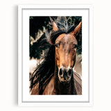 Dynamic Horse Portrait - Rustic Farmhouse Wall Art for Country Living