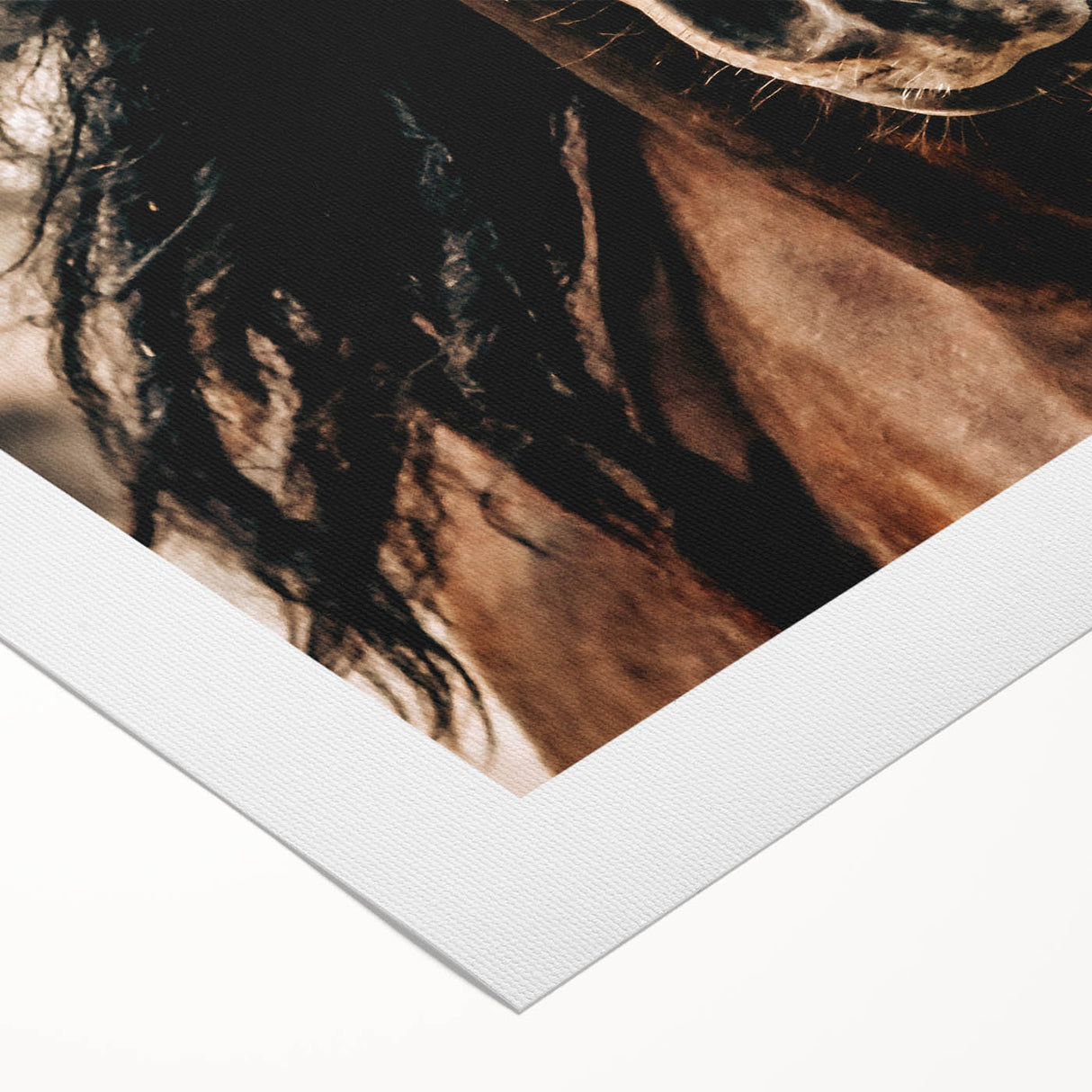 Dynamic Horse Portrait - Rustic Farmhouse Wall Art for Country Living