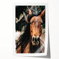 Dynamic Horse Portrait - Rustic Farmhouse Wall Art for Country Living