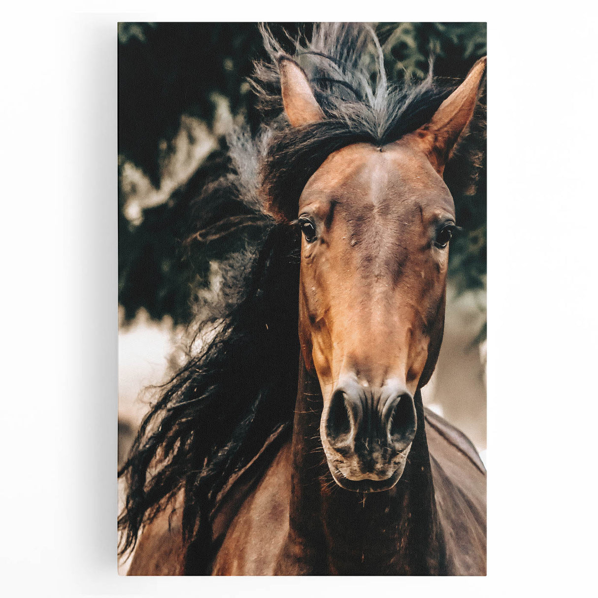 Dynamic Horse Portrait - Rustic Farmhouse Wall Art for Country Living