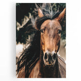 Dynamic Horse Portrait - Rustic Farmhouse Wall Art for Country Living