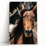 Dynamic Horse Portrait - Rustic Farmhouse Wall Art for Country Living