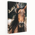 Dynamic Horse Portrait - Rustic Farmhouse Wall Art for Country Living
