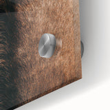 Close-Up Horse Mane - Rustic Farmhouse Wall Art for Country Living