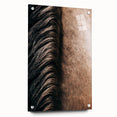 Close-Up Horse Mane - Rustic Farmhouse Wall Art for Country Living
