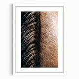 Close-Up Horse Mane - Rustic Farmhouse Wall Art for Country Living