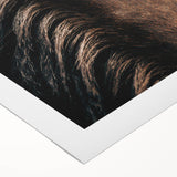 Close-Up Horse Mane - Rustic Farmhouse Wall Art for Country Living