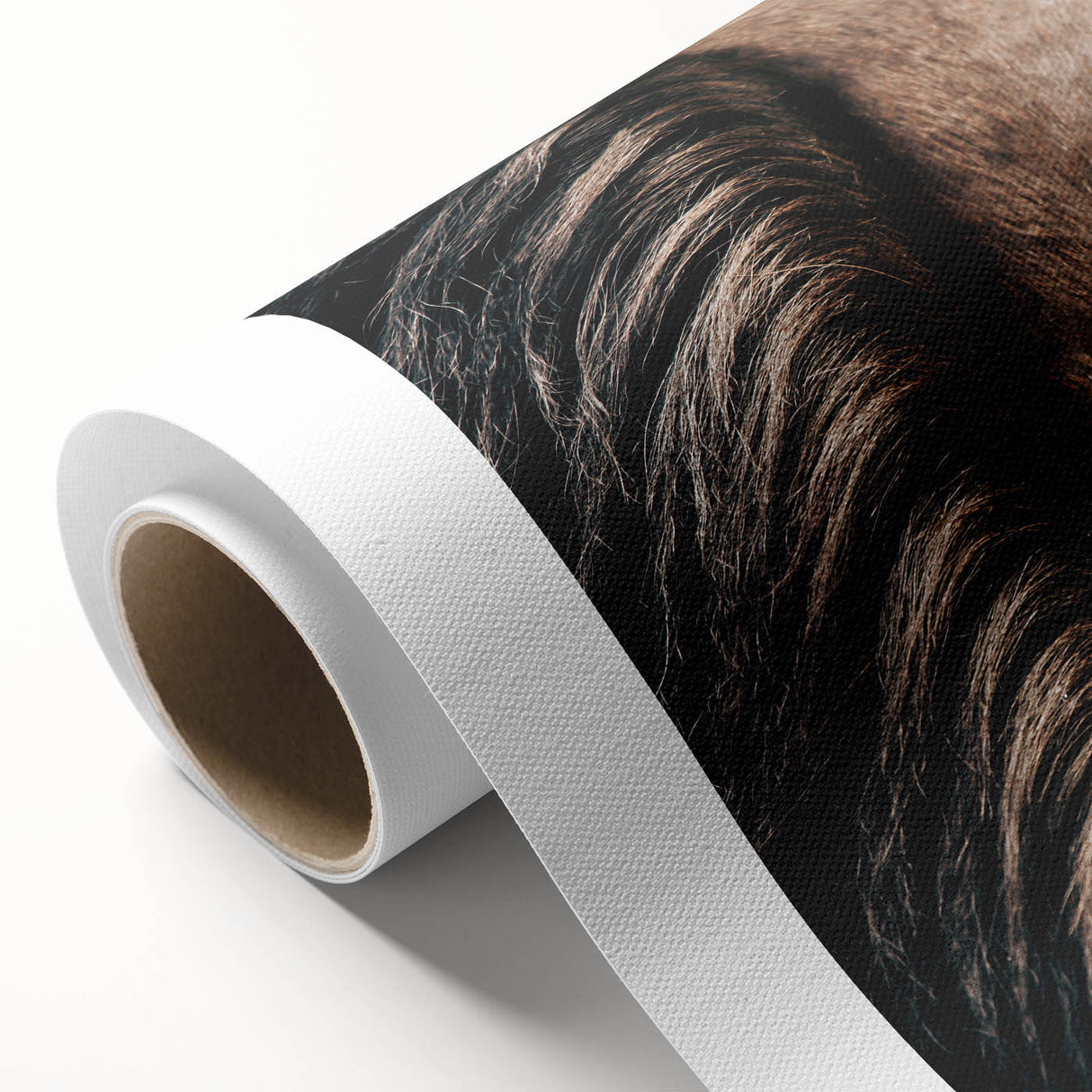 Close-Up Horse Mane - Rustic Farmhouse Wall Art for Country Living