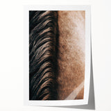 Close-Up Horse Mane - Rustic Farmhouse Wall Art for Country Living