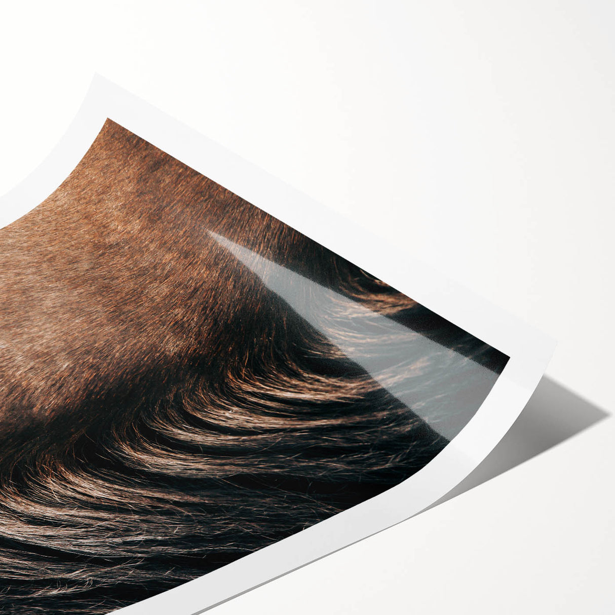 Close-Up Horse Mane - Rustic Farmhouse Wall Art for Country Living