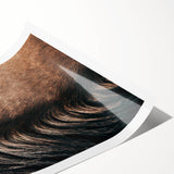 Close-Up Horse Mane - Rustic Farmhouse Wall Art for Country Living