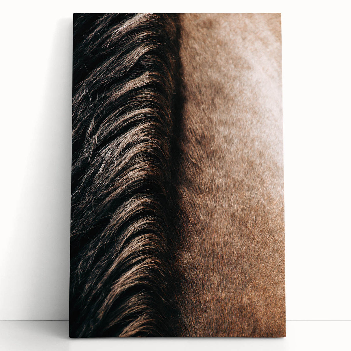 Close-Up Horse Mane - Rustic Farmhouse Wall Art for Country Living