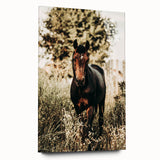 Majestic Horse in Nature - Rustic Farmhouse Wall Art for Country Homes