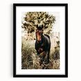 Majestic Horse in Nature - Rustic Farmhouse Wall Art for Country Homes