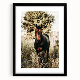 Majestic Horse in Nature - Rustic Farmhouse Wall Art for Country Homes
