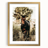 Majestic Horse in Nature - Rustic Farmhouse Wall Art for Country Homes
