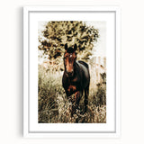 Majestic Horse in Nature - Rustic Farmhouse Wall Art for Country Homes