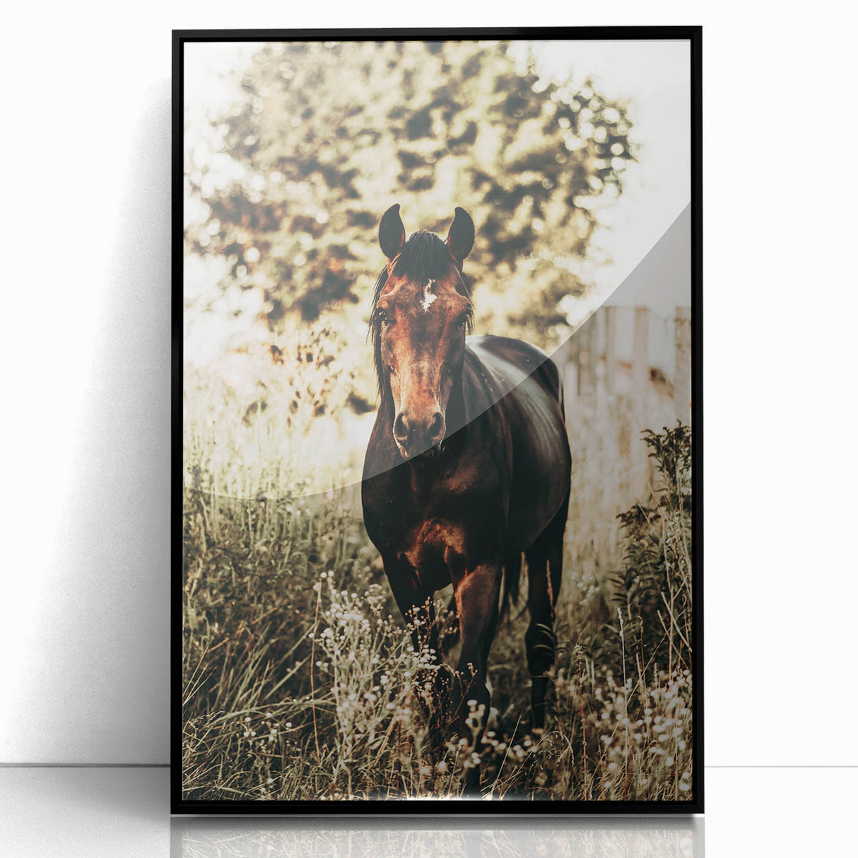 Majestic Horse in Nature - Rustic Farmhouse Wall Art for Country Homes