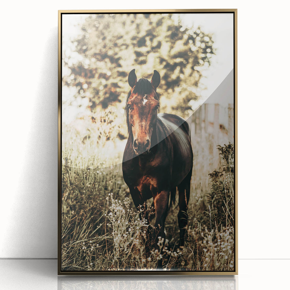 Majestic Horse in Nature - Rustic Farmhouse Wall Art for Country Homes