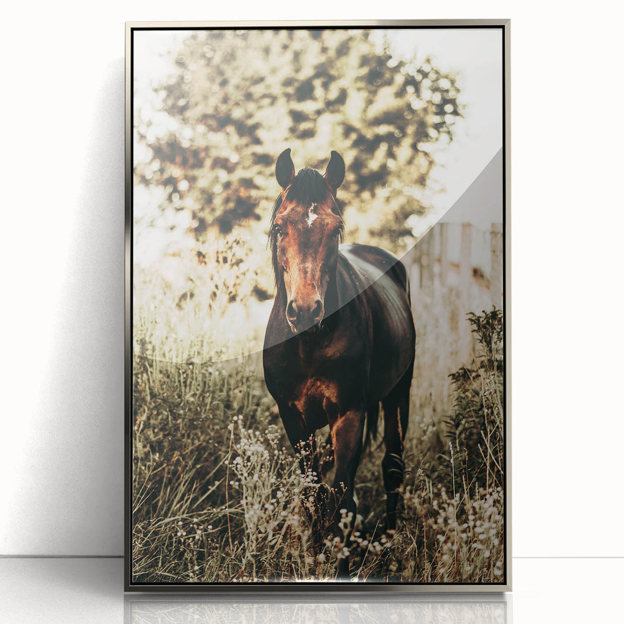 Majestic Horse in Nature - Rustic Farmhouse Wall Art for Country Homes
