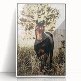 Majestic Horse in Nature - Rustic Farmhouse Wall Art for Country Homes