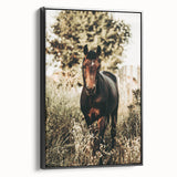 Majestic Horse in Nature - Rustic Farmhouse Wall Art for Country Homes
