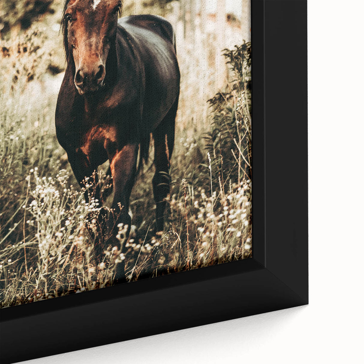 Majestic Horse in Nature - Rustic Farmhouse Wall Art for Country Homes