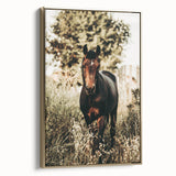Majestic Horse in Nature - Rustic Farmhouse Wall Art for Country Homes