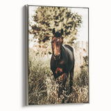 Majestic Horse in Nature - Rustic Farmhouse Wall Art for Country Homes