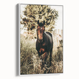 Majestic Horse in Nature - Rustic Farmhouse Wall Art for Country Homes