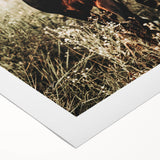 Majestic Horse in Nature - Rustic Farmhouse Wall Art for Country Homes