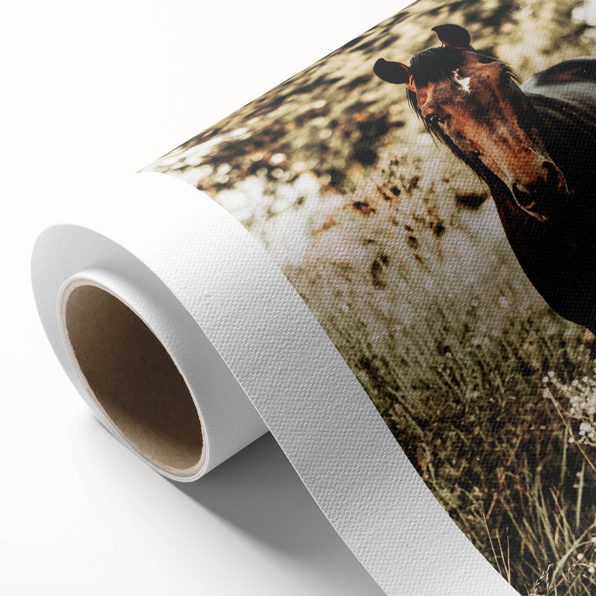 Majestic Horse in Nature - Rustic Farmhouse Wall Art for Country Homes