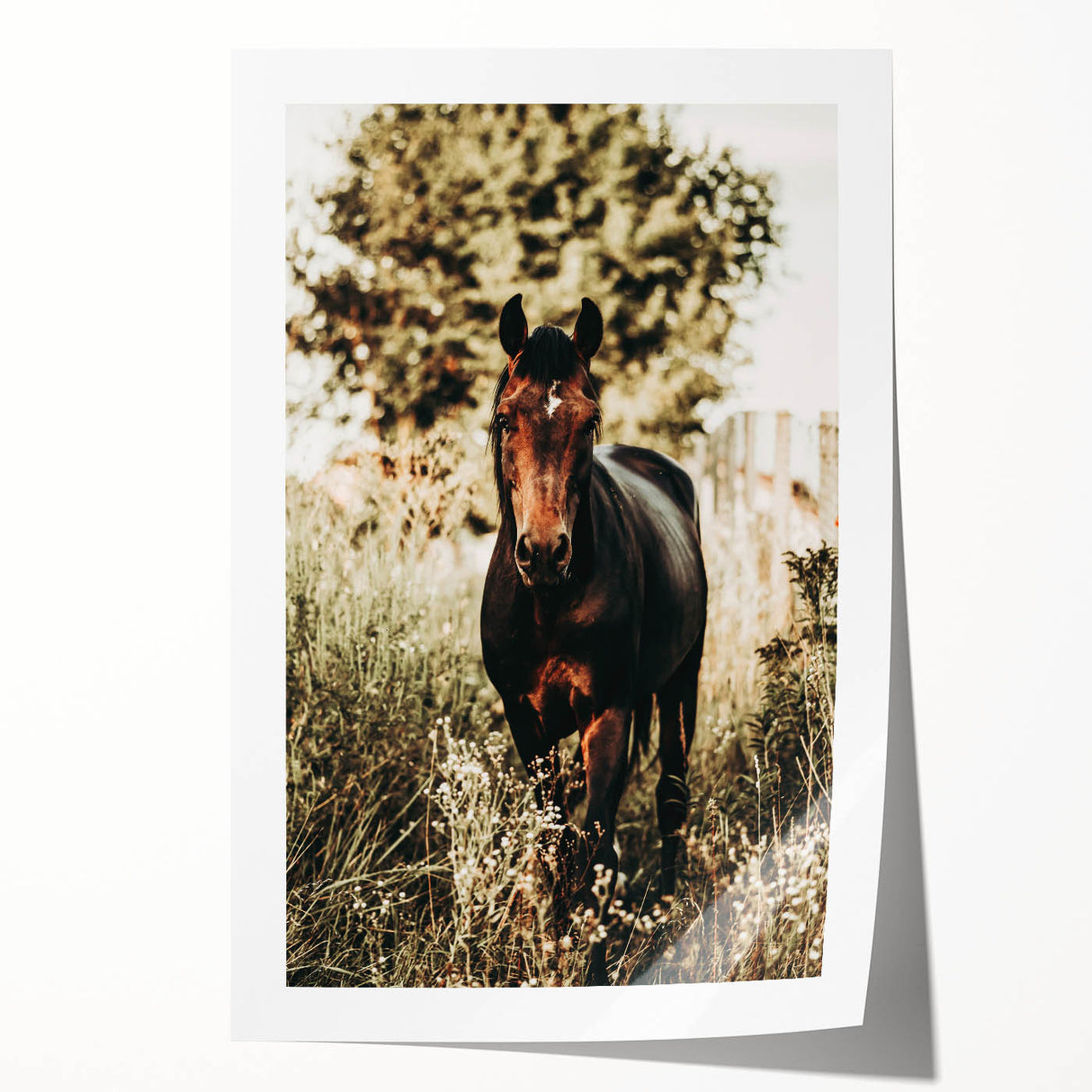 Majestic Horse in Nature - Rustic Farmhouse Wall Art for Country Homes