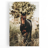 Majestic Horse in Nature - Rustic Farmhouse Wall Art for Country Homes