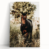 Majestic Horse in Nature - Rustic Farmhouse Wall Art for Country Homes