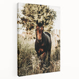Majestic Horse in Nature - Rustic Farmhouse Wall Art for Country Homes