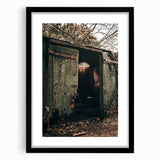 Rustic Weathered Shed - Farmhouse Wall Art for Vintage Country Homes