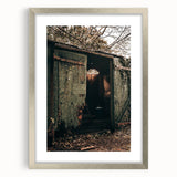 Rustic Weathered Shed - Farmhouse Wall Art for Vintage Country Homes