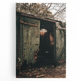 Rustic Weathered Shed - Farmhouse Wall Art for Vintage Country Homes