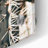 Close-Up Cactus Spines - Rustic Desert Farmhouse Wall Art for Country Decor