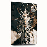 Close-Up Cactus Spines - Rustic Desert Farmhouse Wall Art for Country Decor