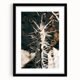 Close-Up Cactus Spines - Rustic Desert Farmhouse Wall Art for Country Decor