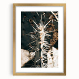 Close-Up Cactus Spines - Rustic Desert Farmhouse Wall Art for Country Decor