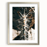 Close-Up Cactus Spines - Rustic Desert Farmhouse Wall Art for Country Decor