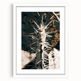 Close-Up Cactus Spines - Rustic Desert Farmhouse Wall Art for Country Decor